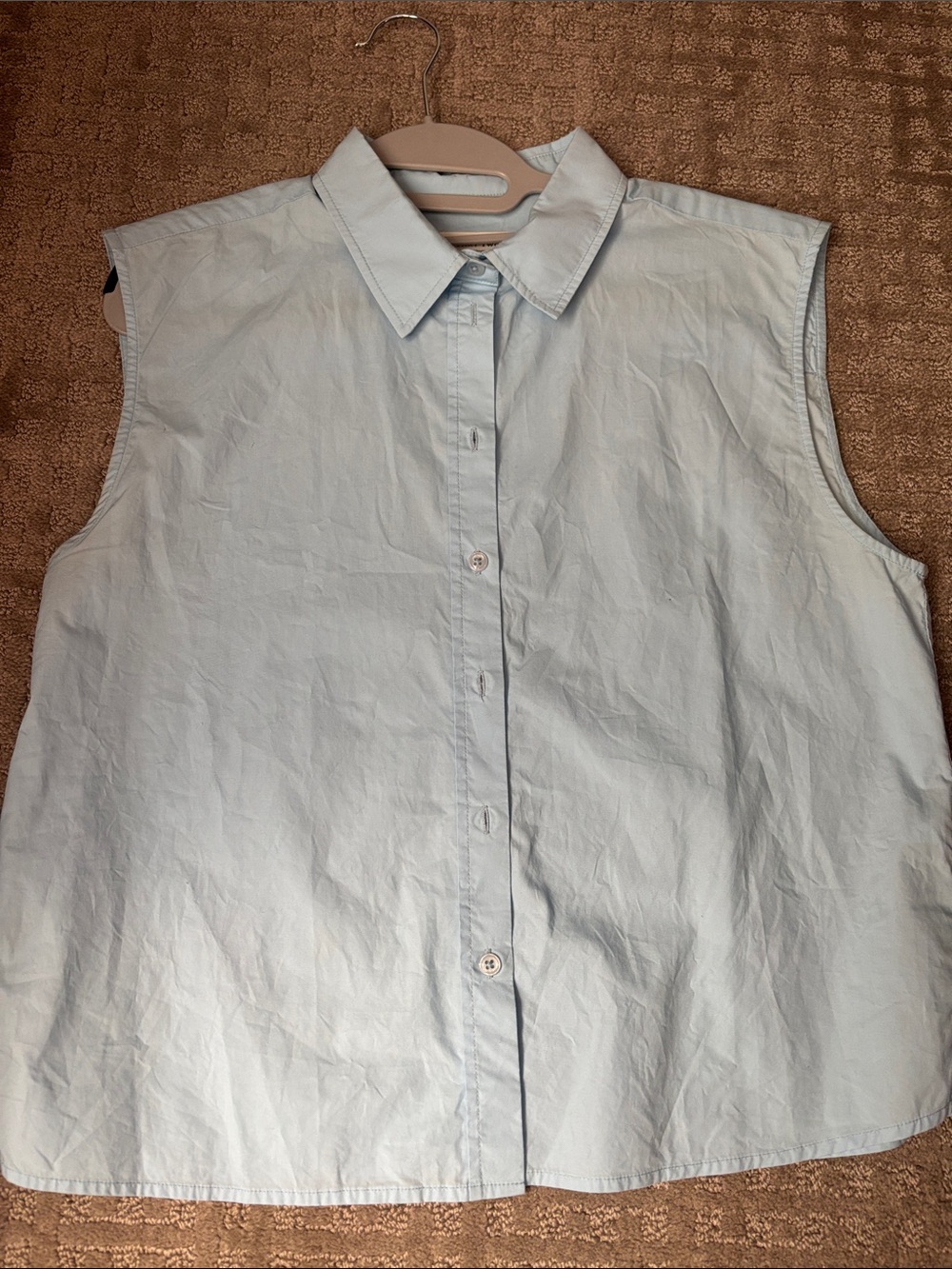 Sleeveless Button-Front Blouse in Light Blue
